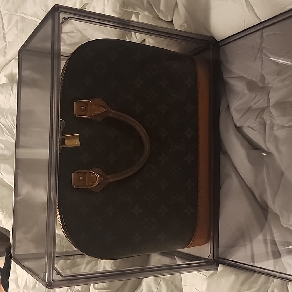 Louis Vuitton Hand Bag